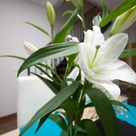 Oyo Style Puerto Apartment